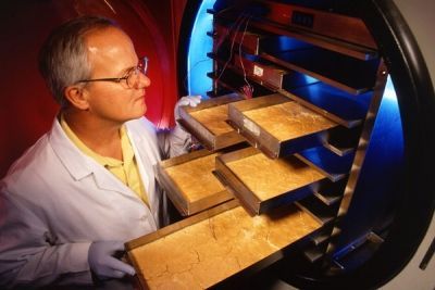 Introductions of Honey Powder